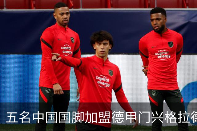 五名中国国脚加盟德甲门兴格拉德巴赫，夏季训练营即将启航
